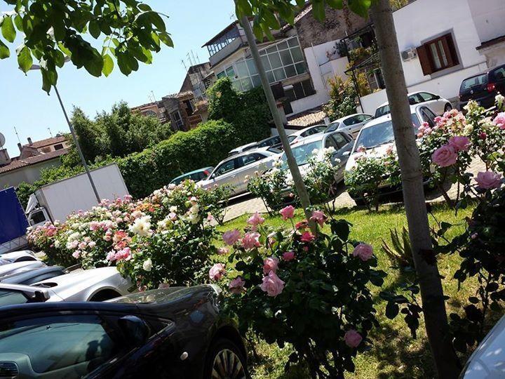 Hotel Jolly Castrovillari Exterior foto